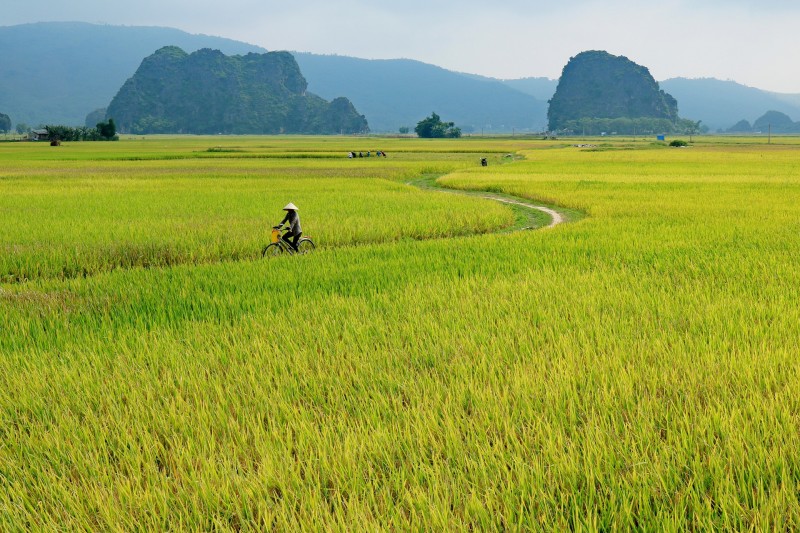 TẾT NÀY NGUYỄN BÍNH VỀ QUÊ