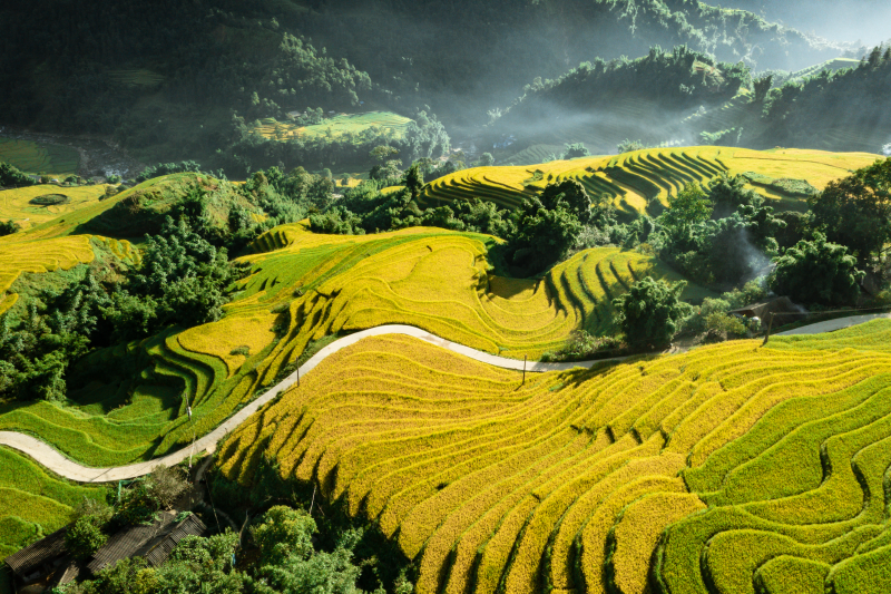 lang le sa pa truyen ngan cua nha van nguyen thanh long