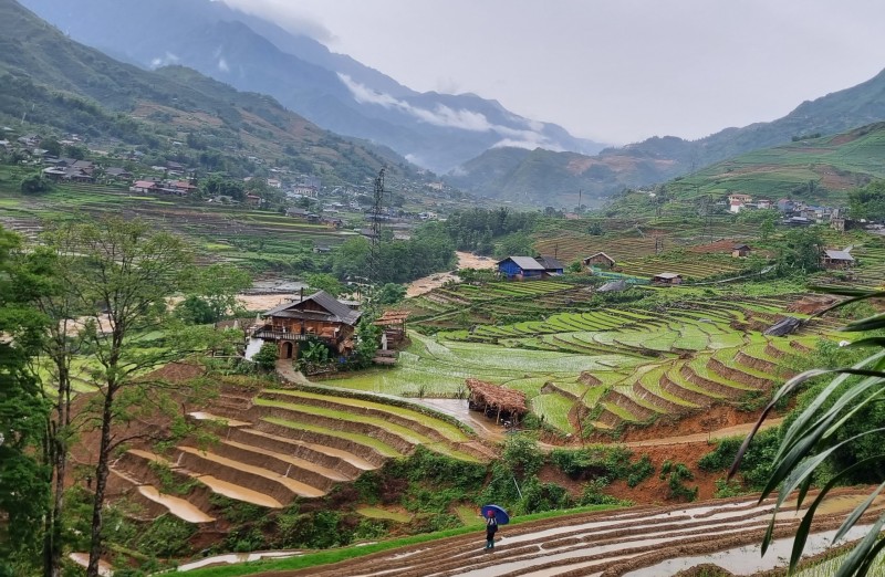 Ngày mới bình yên ở Tả Van - Sa Pa