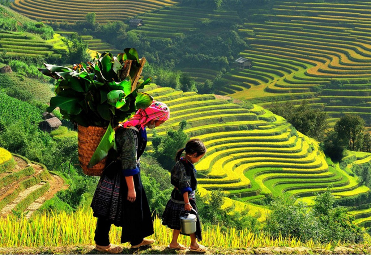 Đêm có mưa vài nơi, ngày nắng. Gió nhẹ.