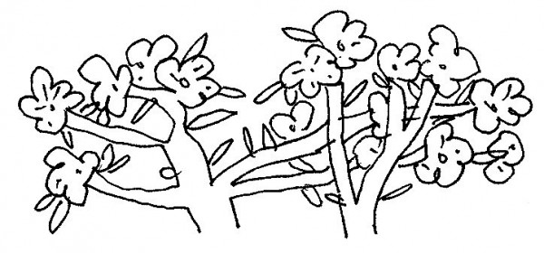 nho tu xuong tho le huy hoa