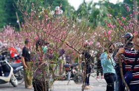 Tổng Liên đoàn Lao động Việt Nam đồng thuận nghỉ Tết Âm lịch 9 ngày liên tục