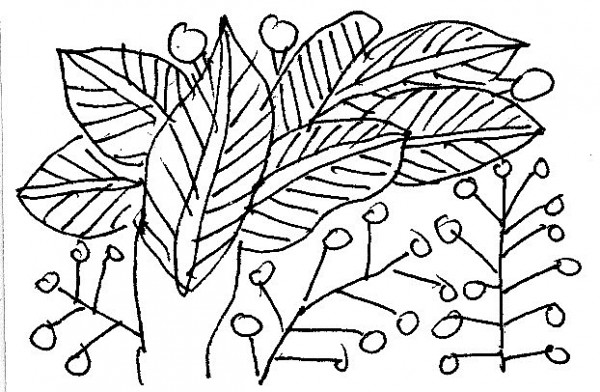 ben mo cha tho nguyen thi bich vuong