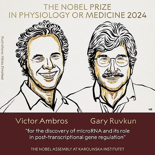 Giải Nobel Y Sinh 2024: Vinh danh nghiên cứu về microRNA