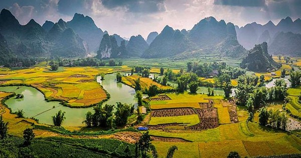 bai tho dat nuoc cua nguyen dinh thi va loi binh cua nha tho anh ngoc