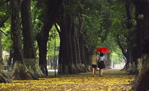 Mưa thu - Tản văn của Trần Việt Hoàng