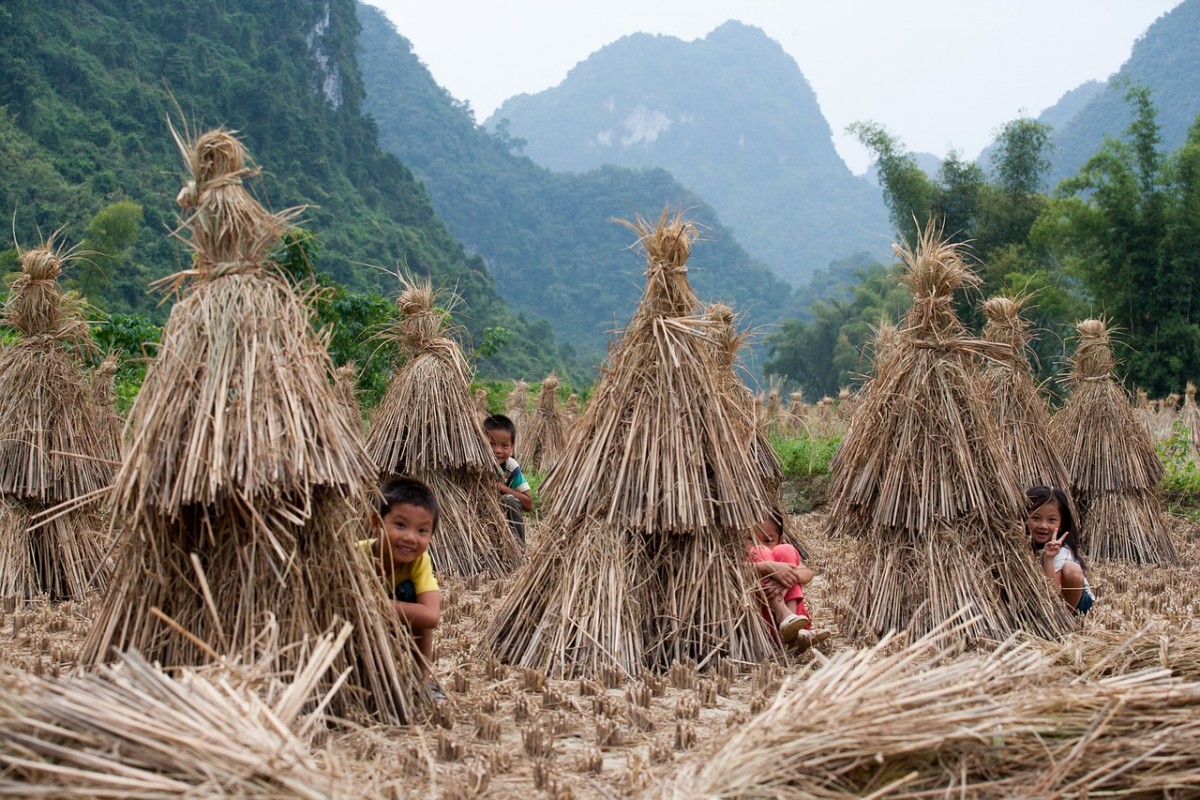 Học cười. Truyện kí của Trần Quốc Toàn