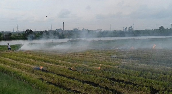 tham thuong ngon khoi dot dong tan van cua ton nu kha di