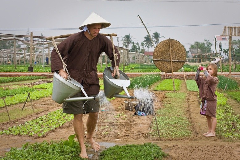 Du khách quốc tế tham gia làm nông nghiệp cùng người dân thành phố Hội An, tỉnh Quảng Nam. Ảnh: Chinhphu.vn