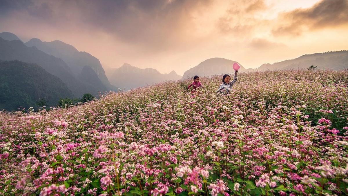 Bài thơ "Thư mùa đông" của Hữu Thỉnh