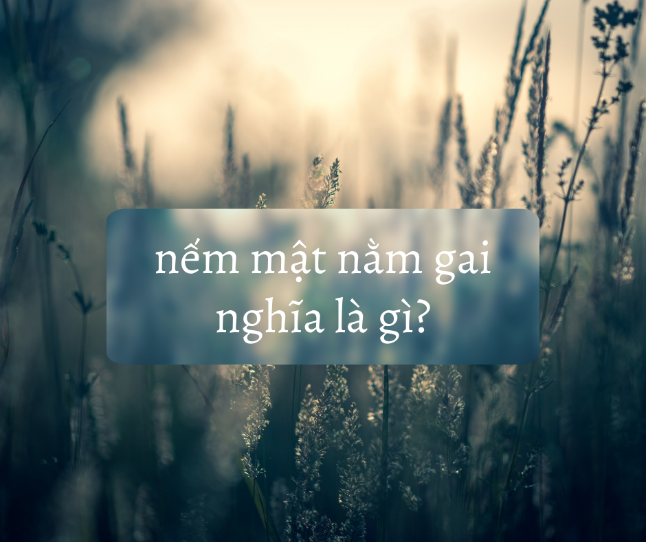 Nếm mật nằm gai có thực sự liên quan đến Việt vương Câu Tiễn?