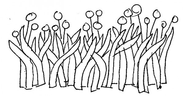 doi bo song tien ngay dinh hon tho nong lenh tu anh