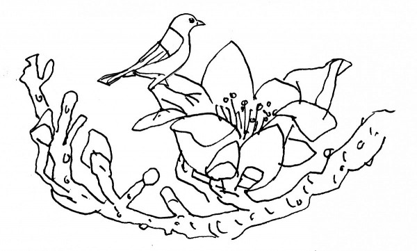 giac mo canh dong tho trung phong