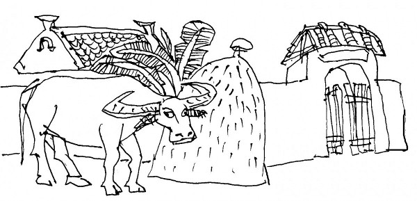 mua gat tho quynh nhu