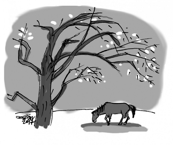 khuc cam 25 tho tan quang