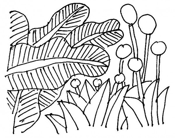 dot dong tho nguyen dang khuong