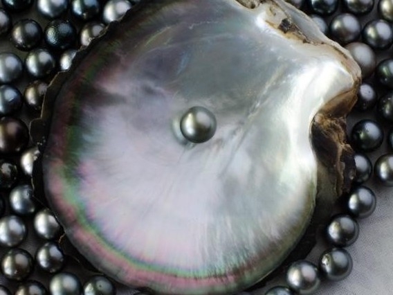 vien ngoc mau huyet du truyen ngan cua nguyen thi ngoc ha