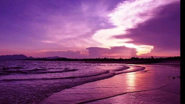 bien tim truyen ngan cua nguyen huu quy