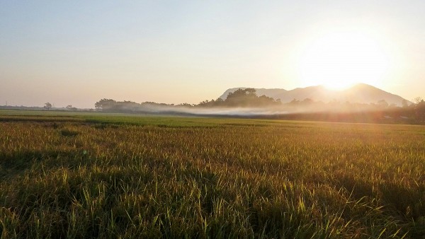 ruong dong o lai tan van cua my han