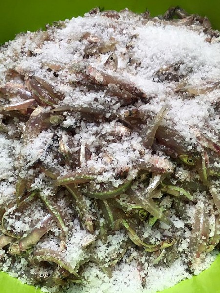 ca mam tan van cua mai tien nghi