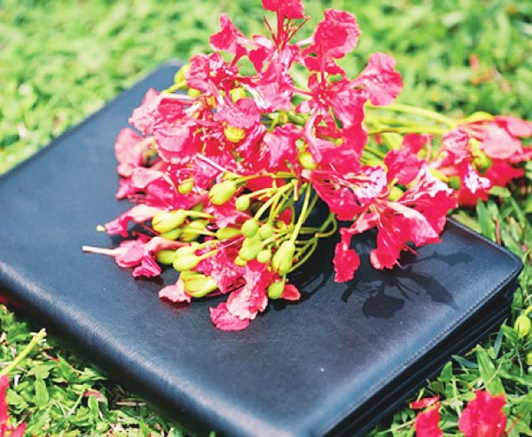 thay oi truyen ngan cua dinh ngoc lam