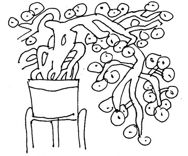 la bo de tho khuat binh nguyen