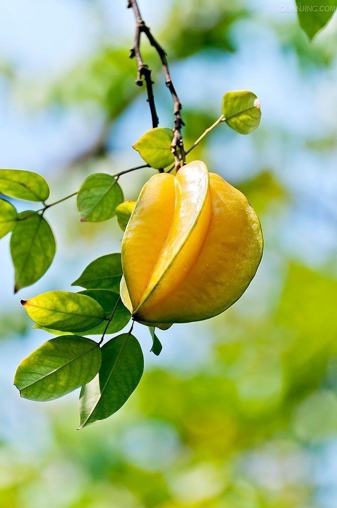 Bạn