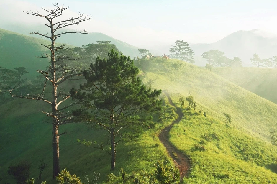 duong mon tan van cua nguyen duc loi