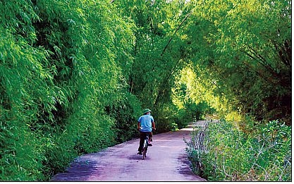 tiec nuoi luy tre lang tan van cua nguyen thi minh bac