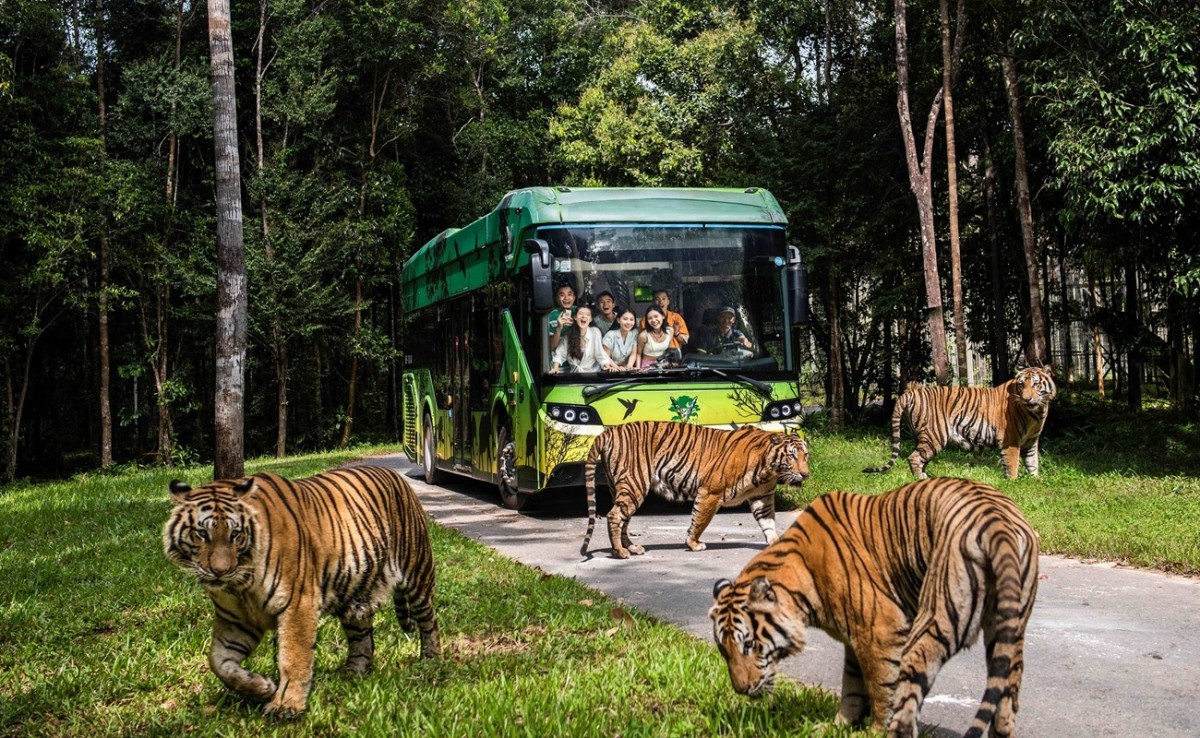 Trọn bộ trải nghiệm độc nhất biến Phú Quốc trở thành điểm đến nhất định phải thử mùa hè này