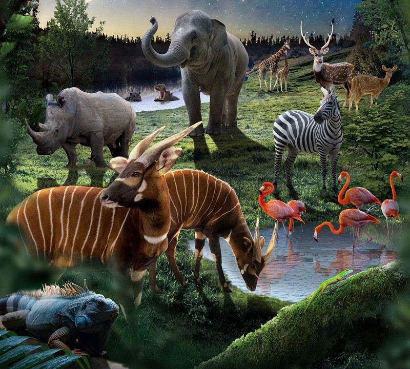 Trọn bộ trải nghiệm độc nhất biến Phú Quốc trở thành điểm đến nhất định phải thử mùa hè này