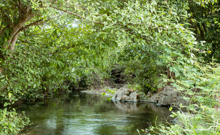 Trở về. Truyện ngắn của Hà Lê