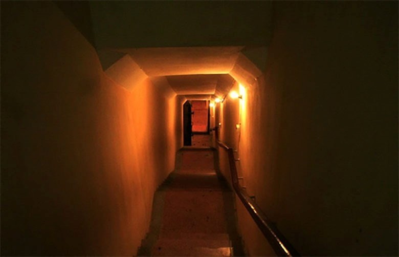 Tổ chức chuỗi trưng bày chào mừng Cách mạng Tháng Tám và Quốc khánh 2/9