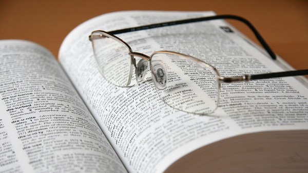 cac tu delulu tradwife skibidi buoc vao tu dien cambridge