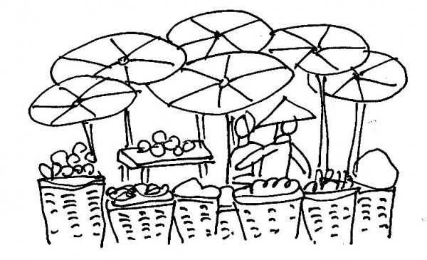 don phuong tho nguyet pham