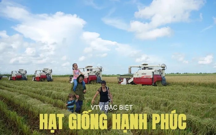 Bộ phim là biểu tượng của ngoại giao nhân văn: nơi hạt lúa trở thành nhịp cầu nối hai dân tộc. Ảnh: VTV