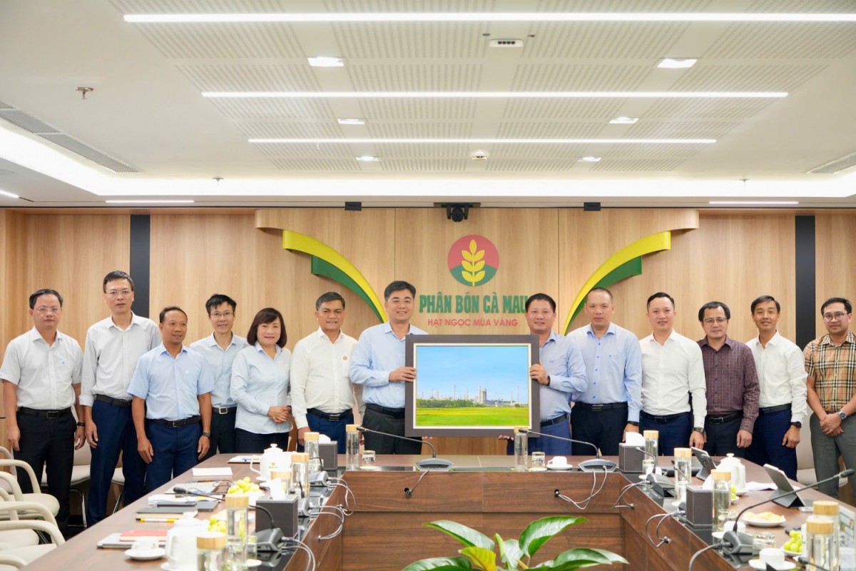 BSR và PVCFC tăng cường hợp tác chiến lược: Mở rộng sang lĩnh vực quản trị và M&A chuỗi giá trị khâu sau