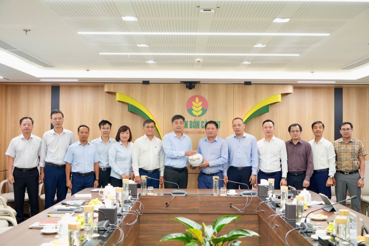 BSR và PVCFC tăng cường hợp tác chiến lược: Mở rộng sang lĩnh vực quản trị và M&A chuỗi giá trị khâu sau