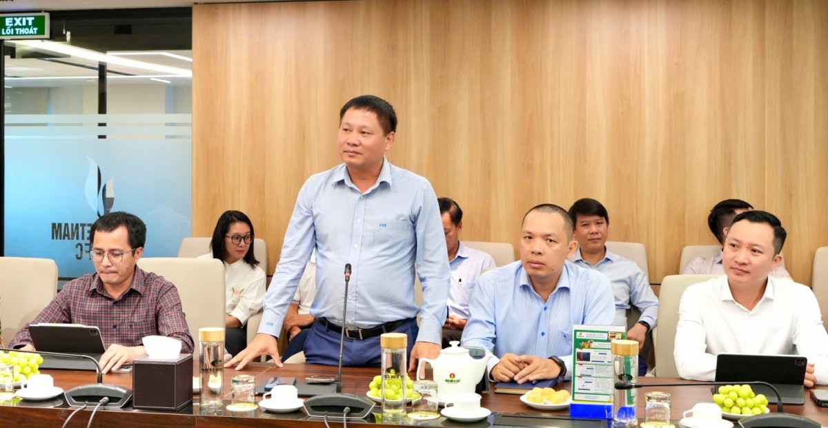 BSR và PVCFC tăng cường hợp tác chiến lược: Mở rộng sang lĩnh vực quản trị và M&A chuỗi giá trị khâu sau