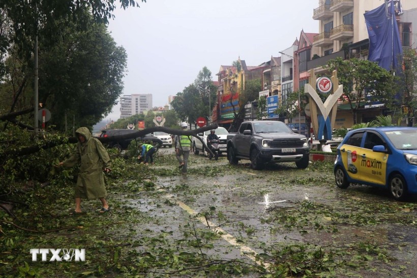 Bão số 5: Bão dị thường gây hậu quả lớn