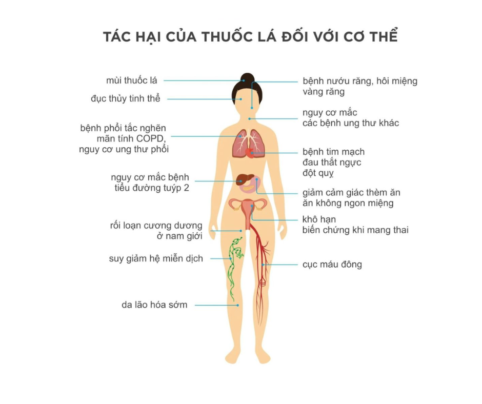 Thuốc lá thế hệ mới: cái bẫy công nghệ dẫn dắt giới trẻ