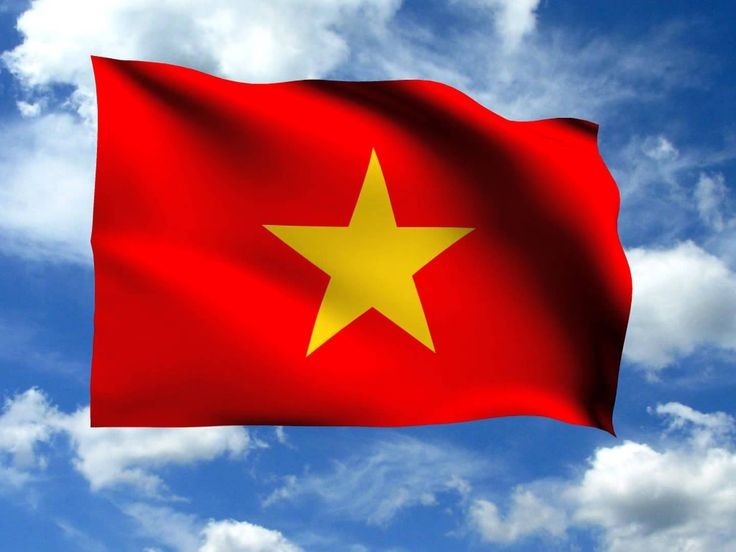 Tiến lên Việt Nam!