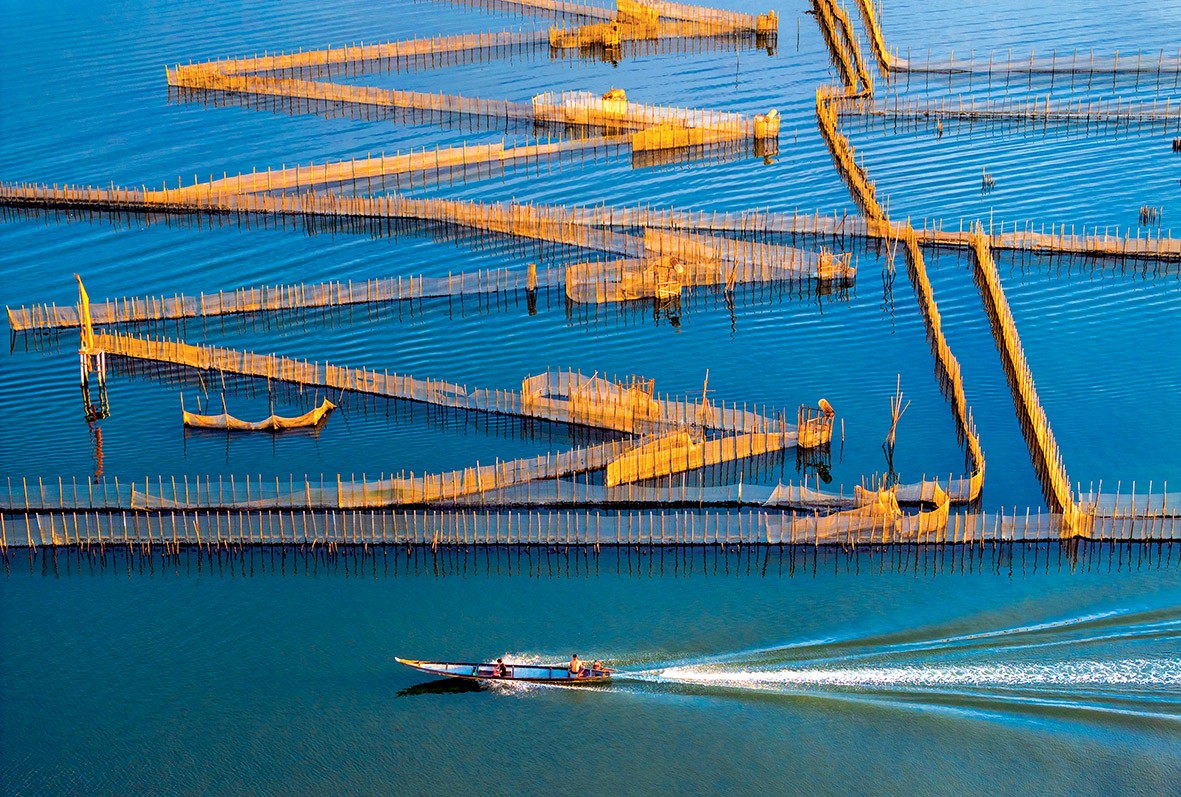 Trao giải và khai mạc triển lãm 