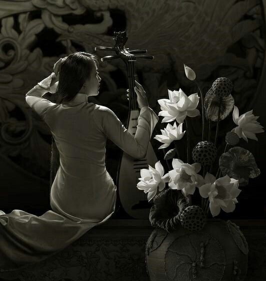 Hoa sen trắng. Truyện ngắn của Vũ Tuấn Hoàng