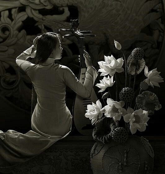 hoa sen trang truyen ngan cua vu tuan hoang