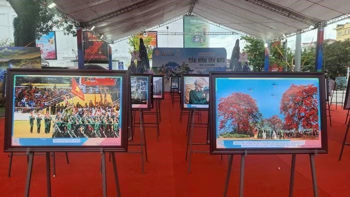 Một số tác phẩm được trưng bày tại Triển lãm. Ảnh: BTC