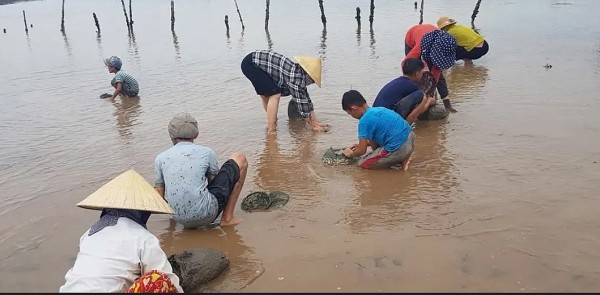 song gio bai trieu  ky cua dam quynh ngoc