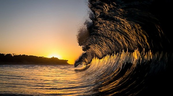 con song mau ho phach truyen ngan cua nguyen thi ngoc ha