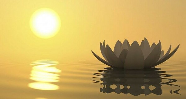 thien than da bay len truyen ngan cua vu thi hanh