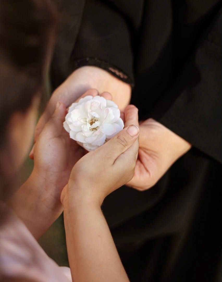 Bông hồng trên ngực áo. Tản văn của Lê Đình